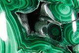 Flowery Polished Malachite Specimen - DR Congo #360908-1